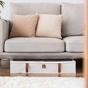 Under Bed Shoe Organizer for Closet, 2-Pack